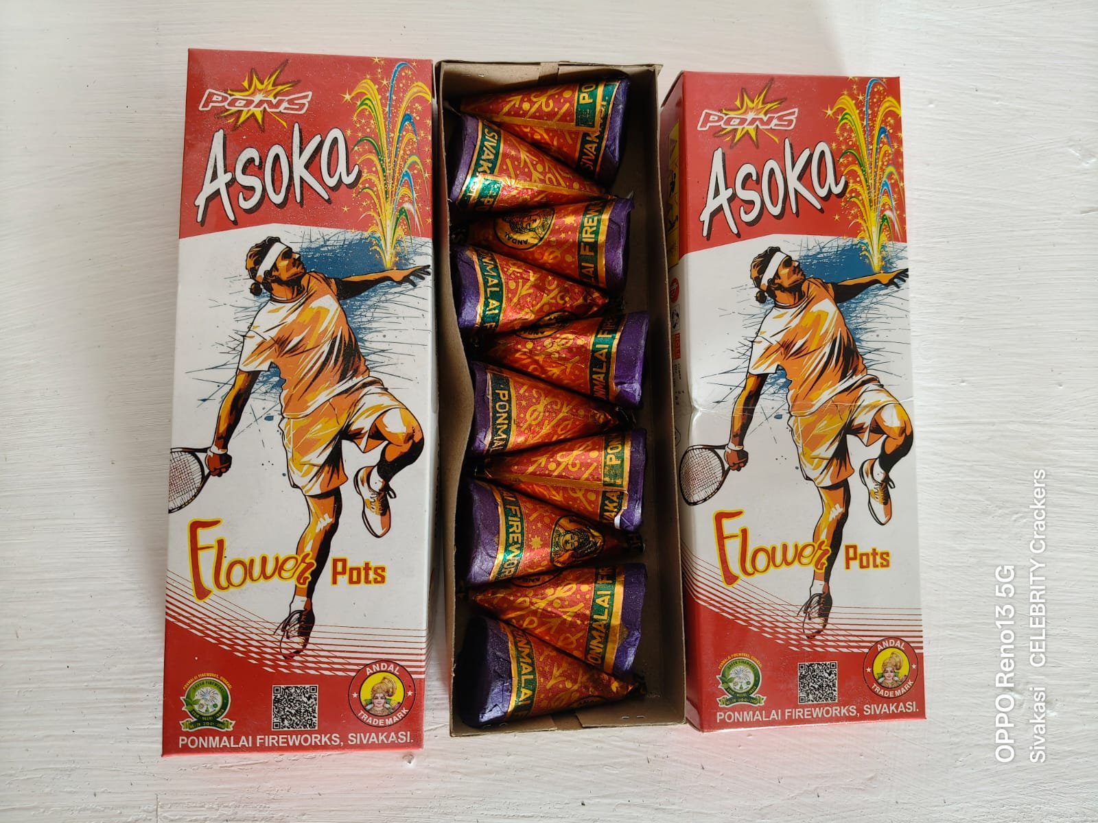 Flower pot Ashoka
